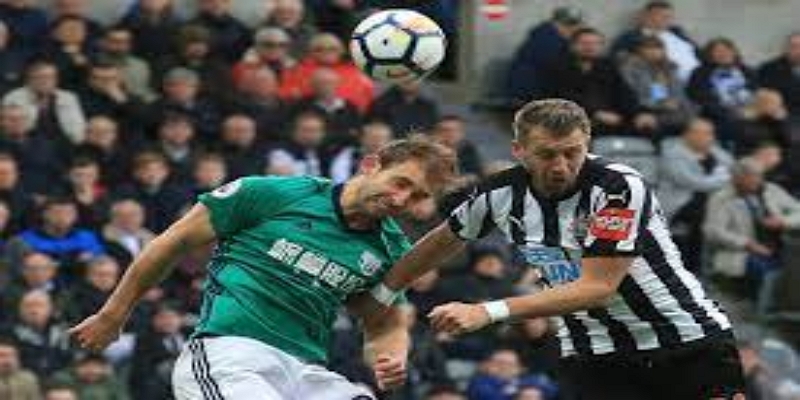 布鲁斯的命运与教练人选猜想 - 爱游戏体育独家观察-爱游戏体育